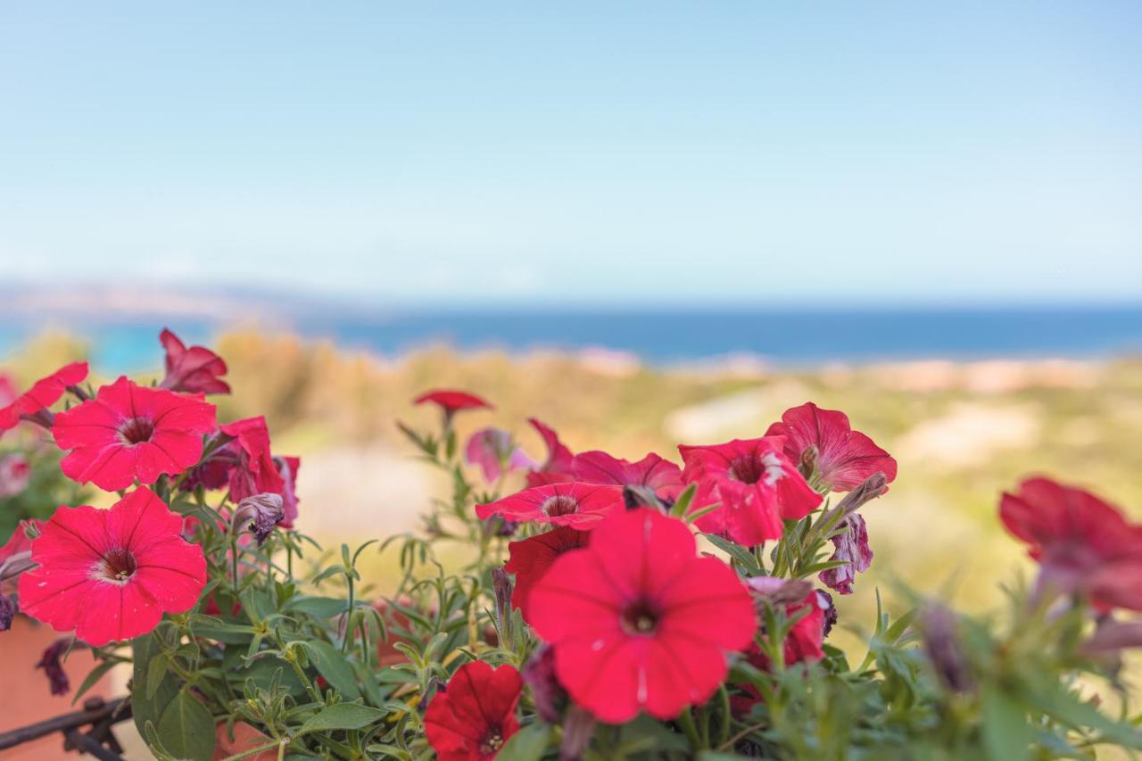 Ancoramare View Otel Stintino Dış mekan fotoğraf